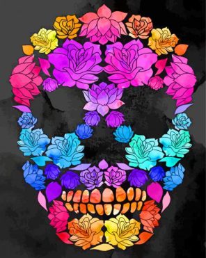 Colorful Skull paint by numbers