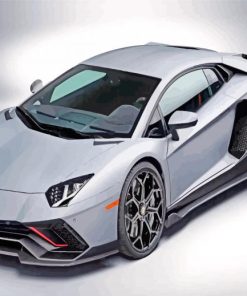 Grey Lamborghini paint by numbers