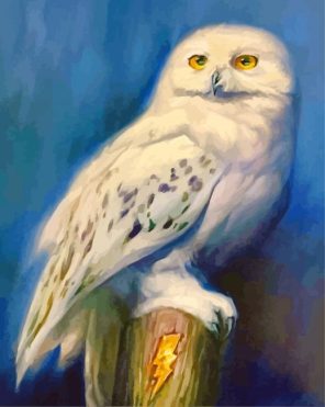 Harry Potter Hedwig paint by numbers