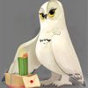 Hedwig Bird Animal paint by numbers