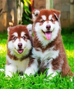 Alaskan puppies Paint By Numbers