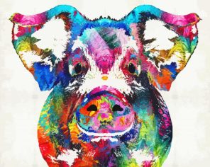 Colorful Pig Paint By Numbers