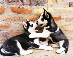 Husky puppies - Paint By Numbers