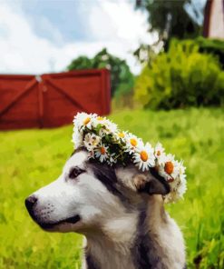 Husky With Flowers paint by numbers