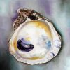 Oyster shell Paint Paint By Numbers