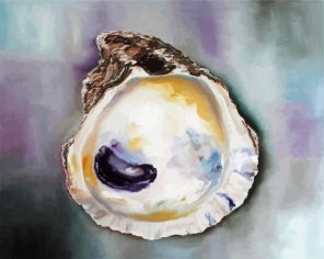 Oyster shell Paint Paint By Numbers