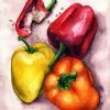 Painting Peppers Paint By Numbers