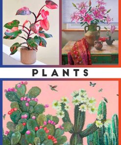 Plants