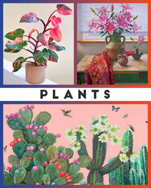 Plants