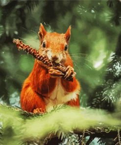 squirrel Paint By Numbers