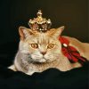 Royal Cat Paint By Numbers