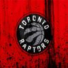 Raptors Logo paint By Numbers