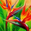 Tropical Bird Paint By Numbers