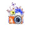 Floral Camera Paint By Numbers