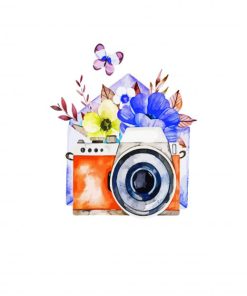 Floral Camera Paint By Numbers