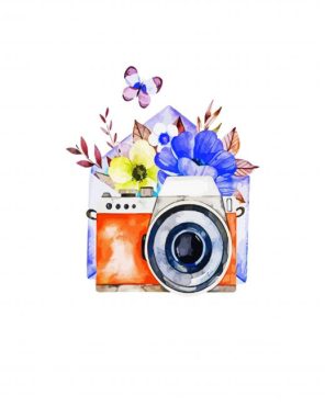 Floral Camera Paint By Numbers