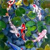 Koi Fish Paint By Numbers