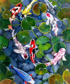 Koi Fish Paint By Numbers