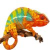 Colored Chameleon Paint By Numbers