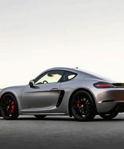 Grey Porsche Paint By Numbers