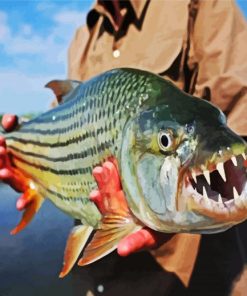 African Fish Paint By Numbers