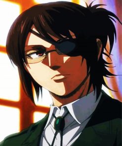 Anime Girl Hanji Paint By Numbers