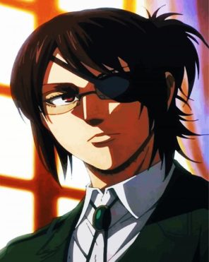 Anime Girl Hanji Paint By Numbers