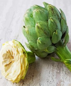 Artichoke Paint By Numbers