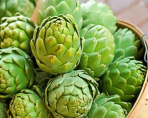 Artichokes Vegetable Paint By Numbers