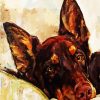 Kelpie Dog Paint By Numbers