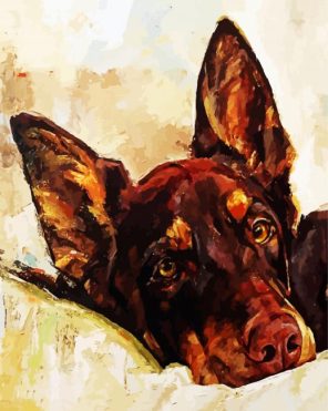 Kelpie Dog Paint By Numbers