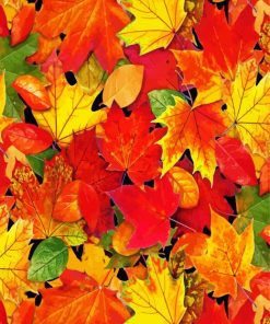 Autumn Foliage Leaves Paint By Numbers