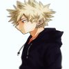 Bakugo Side Profile Paint By Numbers