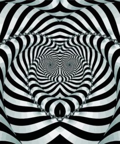 Illusion Art Paint By Numbers