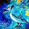 Blue Jay Bird Paint By Numbers