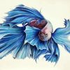 Aesthetic Blue Fish Paint By Numbers