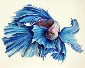 Aesthetic Blue Fish Paint By Numbers