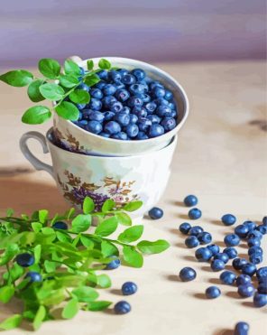 Blueberries In Cup Paint By Numbers