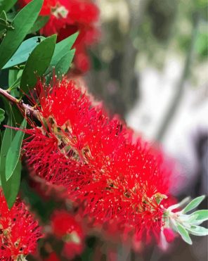 Blossom plant Paint By Numbers