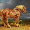 Brilliant Horse Paint By Numbers