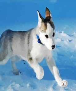 Snow Puppy Paint By Numbers