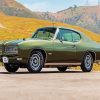 Classic Green Gto Paint By Numbers