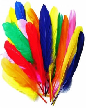 Colorful Bird Feathers Paint By Numbers