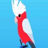 Cute Galah Bird Paint By Numbers