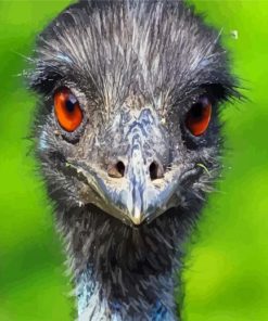 Emu Eyes Paint By Numbers