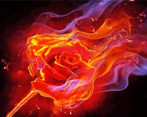 Flaming Rose Paint By Numbers