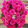 Fuchsia Roses Bouquet Paint By Numbers