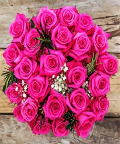 Fuchsia Roses Bouquet Paint By Numbers