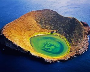 Galapagos Island Paint By Numbers