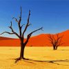 Africa Kalahari Desert Paint By Numbers